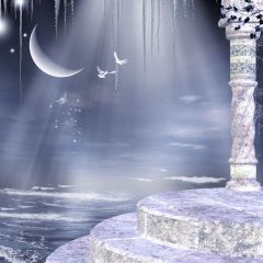 Moon Seabirds Pillar Photography Scenery Backdrop Arches or Pillars Theme Banner AKA-356