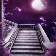 Stair Under The Moonlight Photography Scenery Backdrop Night Theme Banner AKA-357