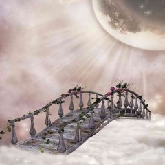 Skybridge Photography Scenery Backdrop Arches or Pillars Theme Banner AKA-361