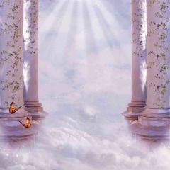 Lights Between The Pillars Photography Scenery Backdrop Arches or Pillars Theme Banner AKA-363