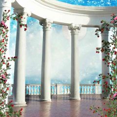 Romantic Pillars Photography Scenery Backdrop Arches or Pillars Theme Banner AKA-370