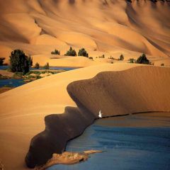 Source Of Life Photography Scenery Backdrop Desert Landscape Theme Banner AKA-391