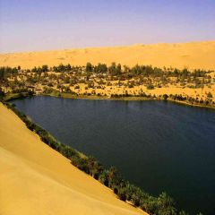 Quiet Desert Photography Scenery Backdrop Desert Landscape Theme Banner AKA-392