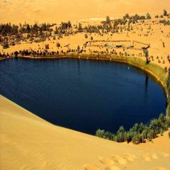 Desert Paradise Photography Scenery Backdrop Desert Landscape Theme Banner AKA-393