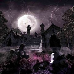 Haunted Night Photography Scenery Backdrop Halloween Theme Banner AKA-395