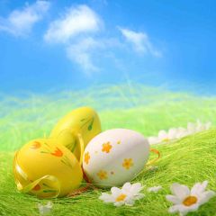 Painted Eggs Photography Scenery Backdrop Festival Celebration Theme Banner AKA-397