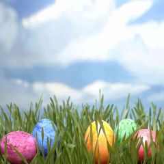 Eggs In The Grass Photography Scenery Backdrop Festival Celebration Theme Banner AKA-398