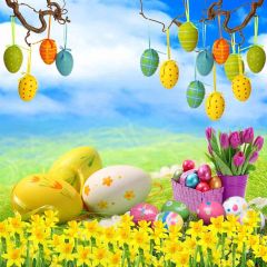 Painted Eggs Photography Scenery Backdrop Festival Celebration Theme Banner AKA-399