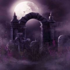 Haunted Grave Photography Scenery Backdrop Architectural Theme Banner AKA-416