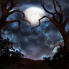 Full Moon Old Trees Photography Scenery Backdrop Fantasy Theme Banner AKA-418