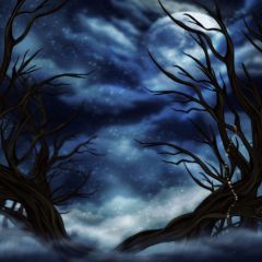 Fantasy Old Trees Night Sky Photography Scenery Backdrop Fantasy Theme Banner AKA-419