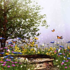 Butterfly Dance Photography Scenery Backdrop Nature Theme Banner AKA-420