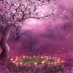 Beautiful Sakura Photography Scenery Backdrop Flowers Theme Banner AKA-425