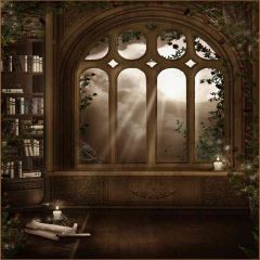 Relic Room Photography Scenery Backdrop Bookshelf Theme Banner AKA-427