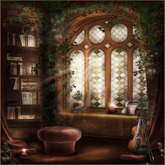 Sunshine In The Relic Room Photography Scenery Backdrop Bookshelf Theme Banner AKA-428