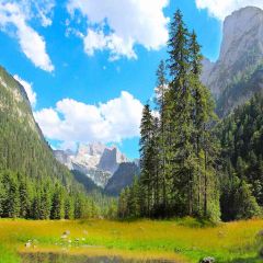 Beautiful Day Photography Scenery Backdrop Nature Theme Banner AKA-429