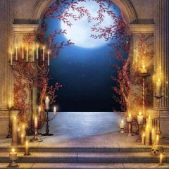 Moonlight And Candle Light Photography Scenery Backdrop Arches or Pillars Theme Banner AKA-433