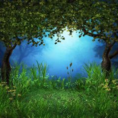 Silent Night Photography Scenery Backdrop Nature Theme Banner AKA-434