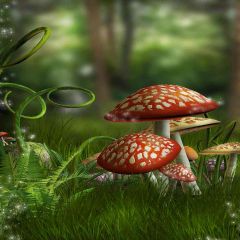 Poison Mushroom Photography Scenery Backdrop Fantasy Theme Banner AKA-437