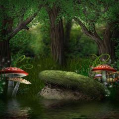 Poison Mushroom Photography Scenery Backdrop Fantasy Theme Banner AKA-438