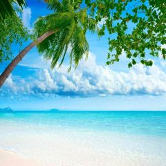 Blue Ocean Photography Scenery Backdrop Ocean Theme Banner AKA-440