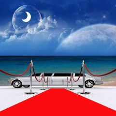 Beach Red Carpet Photography Scenery Backdrop Stage Carpet Theme Banner AKA-442