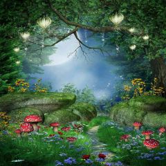 Poison Mushroom In Woods Photography Scenery Backdrop Night Theme Banner AKA-445