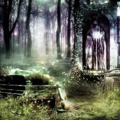 Magic Forest Photography Scenery Backdrop Forest Theme Banner AKA-447