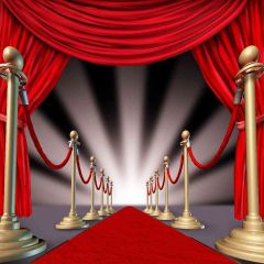Red Carpet Photography Scenery Backdrop Stage Carpet Theme Banner AKA-449