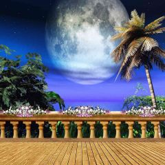 Big Moon Above The Water Photography Scenery Backdrop Balcony Landscape Theme Banner AKA-450