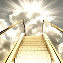 Success Ladder Photography Scenery Backdrop Stairs Theme Banner AKA-458