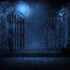 Spooky Yard Photography Scenery Backdrop Night Theme Banner AKA-462