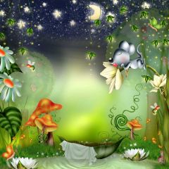 Wonderful Fairy Tale World Photography Scenery Backdrop Fantasy Theme Banner AKA-463