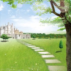 Stone Step To The Castle Photography Scenery Backdrop Nature Theme Banner AKA-464