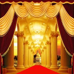 Fancy Red Carpet Hall Photography Scenery Backdrop Stage Carpet Theme Banner AKA-474