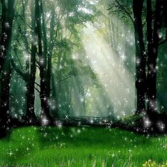 Magic Forest Photography Scenery Backdrop Nature Theme Banner AKA-477