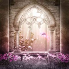 Dream Gate Photography Scenery Backdrop Door Theme Banner AKA-493