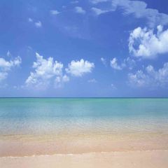 Peaceful Beach Photography Scenery Backdrop Ocean Theme Banner AKA-499