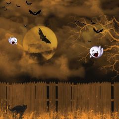 Full Moon Fence Bats Photography Scenery Backdrop Halloween Theme Banner AKA-509