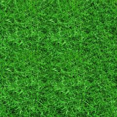 Vibrant Beautiful Grass Photography Scenery Backdrop Nature Theme Banner AKA-526