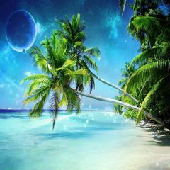 Palm Tree Above The Sea Photography Scenery Backdrop Ocean Theme Banner AKA-528