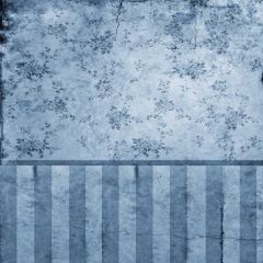 Cracked Pattern Royal Wall Photography Scenery Backdrop Wall Theme Banner AKA-533