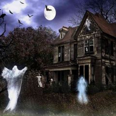 Haunted House Photography Scenery Backdrop Halloween Theme Banner AKA-536