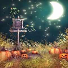 Wacky Pumpkin Photography Scenery Backdrop Halloween Theme Banner AKA-555