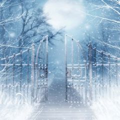 Pathway Under Snow Photography Scenery Backdrop Snow Theme Banner AKA-557