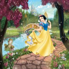 Princess Photography Scenery Backdrop Cartoon Theme Banner AKA-564
