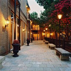 Evening Street Photography Scenery Backdrop Streetscape Theme Banner AKA-580