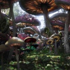 Giant Mushrooms Photography Scenery Backdrop Fantasy Theme Banner AKA-586