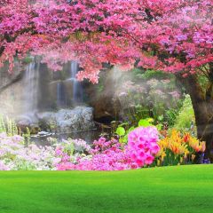 Spring Photography Scenery Backdrop Flowers Theme Banner AKA-594