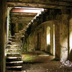 Relic Photography Scenery Backdrop Indoor Theme Banner AKA-596